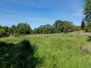 Bonanza Disc Golf Course Image 3