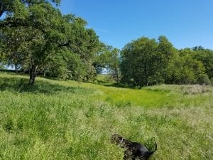 Bonanza Disc Golf Course Image 4