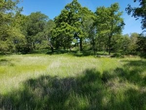 Bonanza Disc Golf Course Image 7