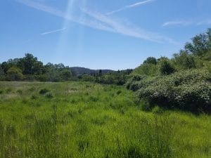 Bonanza Disc Golf Course Image 8